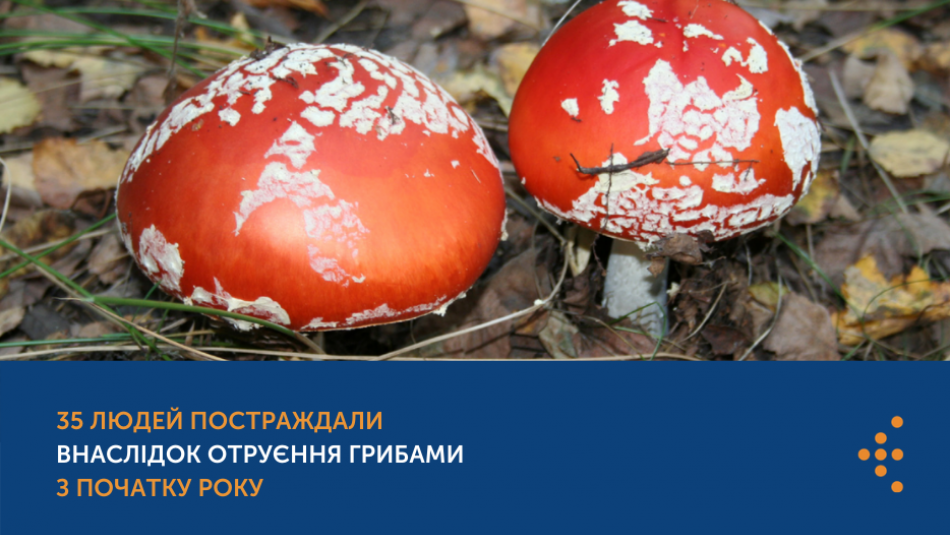 35 людей постраждали внаслідок отруєння грибами з початку року