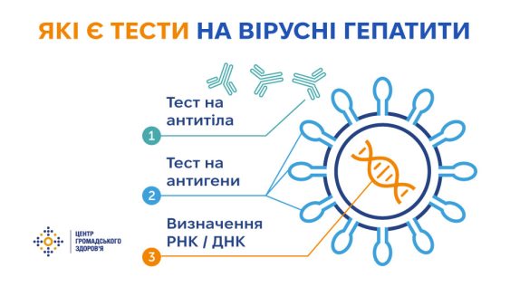 Діагностика вірусних гепатитів В і С:  види досліджень і про що вони можуть «розповісти» 