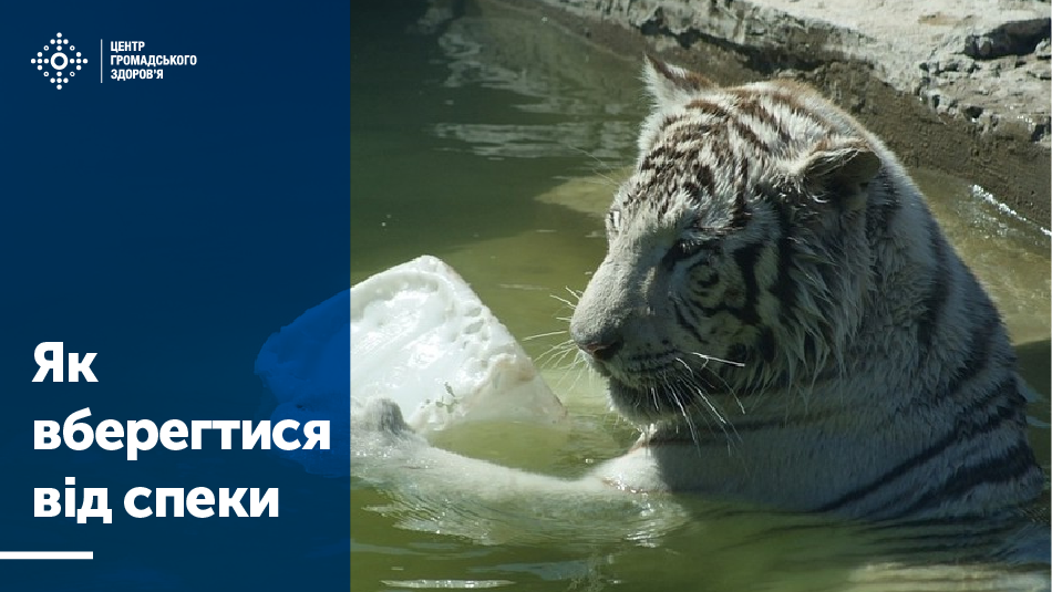 Перебувайте якомога менше на сонці, особливо в період з 11 до 16 години. Шукайте прохолоду й тінь, щоб ваше тіло мало можливість відновитися. За можливості залишайтеся у приміщенні, бажано з кондиціонером. Якщо вдома немає кондиціонеру – зайдіть до кондиційованих громадських приміщень - навіть кілька годин, проведені в охолодженому приміщенні, можуть допомогти вашому тілу адаптуватися до спеки на вулиці.