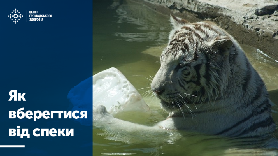 Перебувайте якомога менше на сонці, особливо в період з 11 до 16 години. Шукайте прохолоду й тінь, щоб ваше тіло мало можливість відновитися.  За можливості залишайтеся у приміщенні, бажано з кондиціонером. Якщо вдома немає кондиціонеру – зайдіть до кондиційованих громадських приміщень - навіть кілька годин, проведені в охолодженому приміщенні, можуть допомогти вашому тілу адаптуватися до спеки на вулиці.