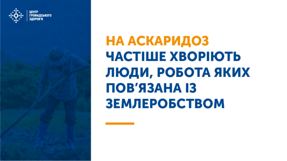 На аскаридоз частіше хворіють люди, робота яких пов’язана із землеробством