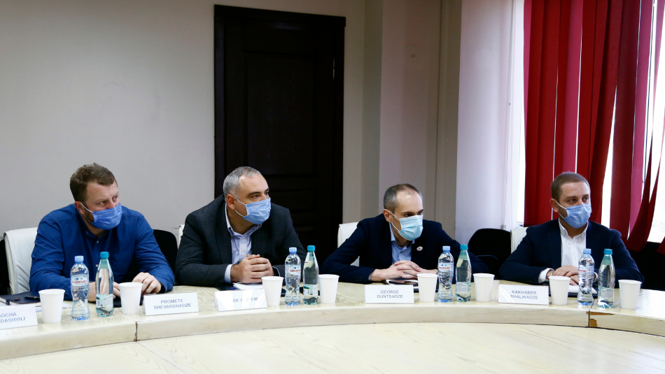 Обмін досвідом між Україною та Грузією у сфері контролю якості препаратів