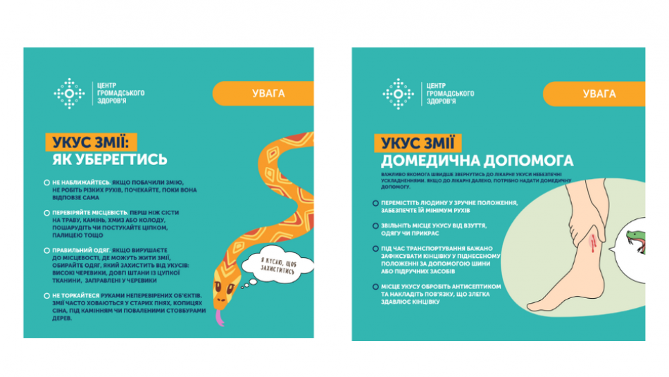 Сезон активності плазунів: правила першої допомоги при укусі змії