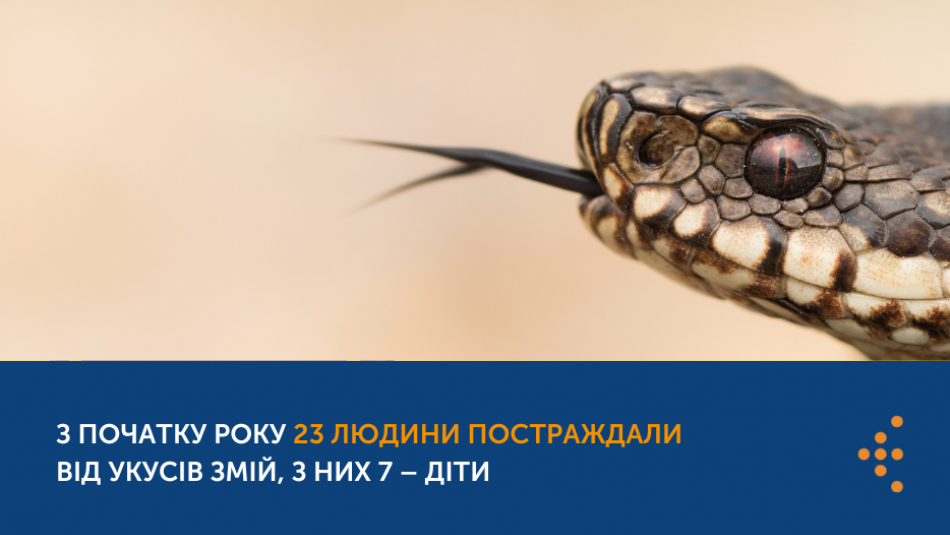 З початку року 23 людини постраждали від укусів змій, з них 7 – діти 