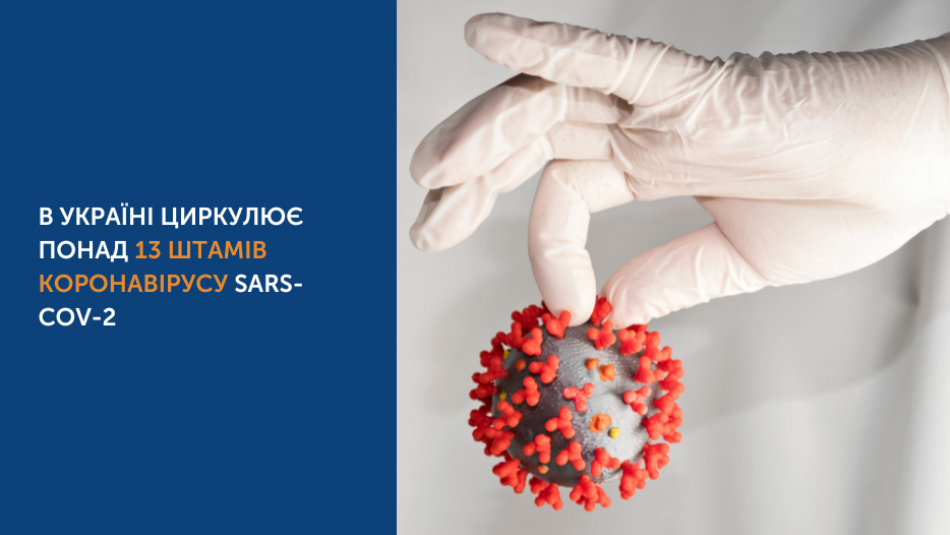 В Україні циркулює понад 13 штамів коронавірусу SARS-CoV-2 