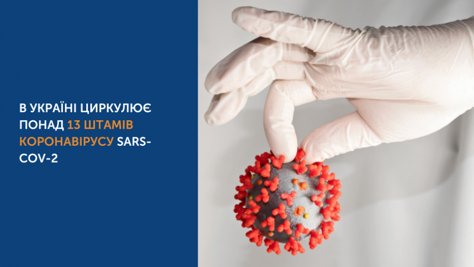 В Україні циркулює понад 13 штамів коронавірусу SARS-CoV-2