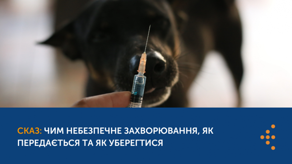 Сказ: чим небезпечне захворювання, як передається та як уберегтися