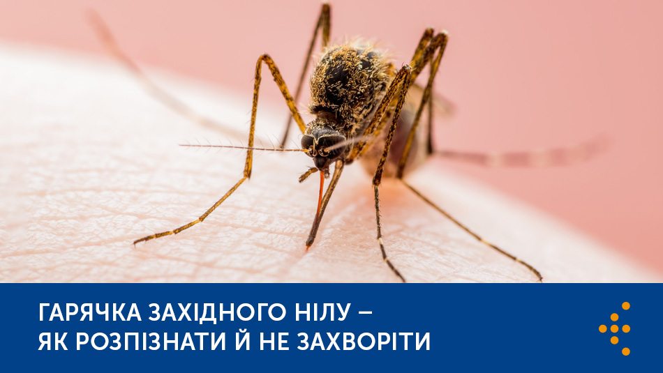 Гарячка Західного Нілу — як розпізнати й не захворіти
