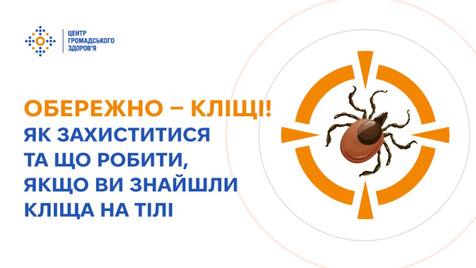 Обережно — кліщі! Як захиститися та що робити, якщо помітили на собі кліща