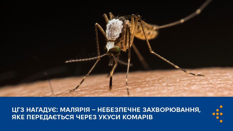 ЦГЗ нагадує: малярія — небезпечне захворювання, яке передається через укуси комарів