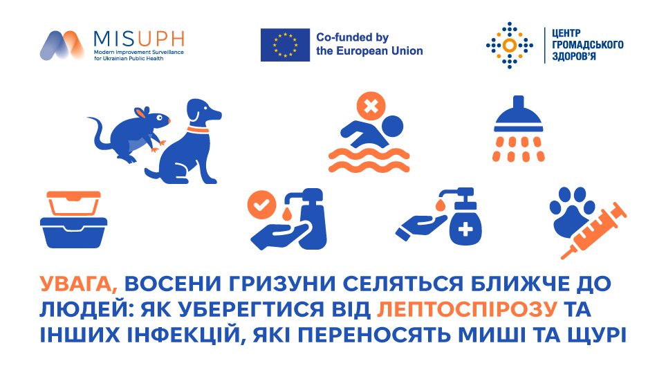 Увага, восени гризуни селяться ближче до людей: як уберегтися від лептоспірозу та інших інфекцій, які переносять миші та щурі
