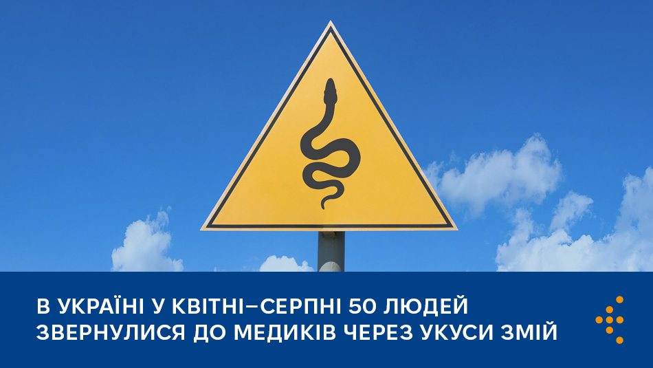 В Україні у квітні–серпні 50 людей звернулися до медиків через укуси змій