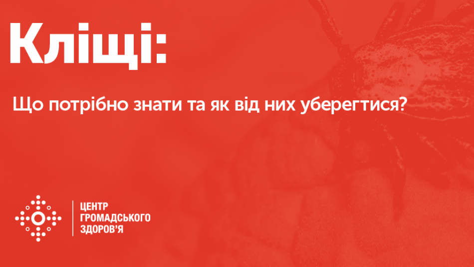 Що варто знати про іксодових кліщів